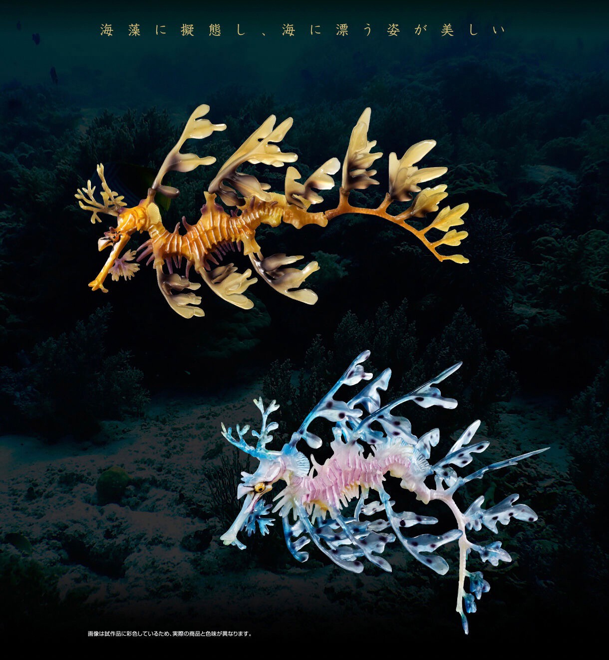 PRE-ORDER : Ikimono Encyclopedia Premium Leafy seadragon