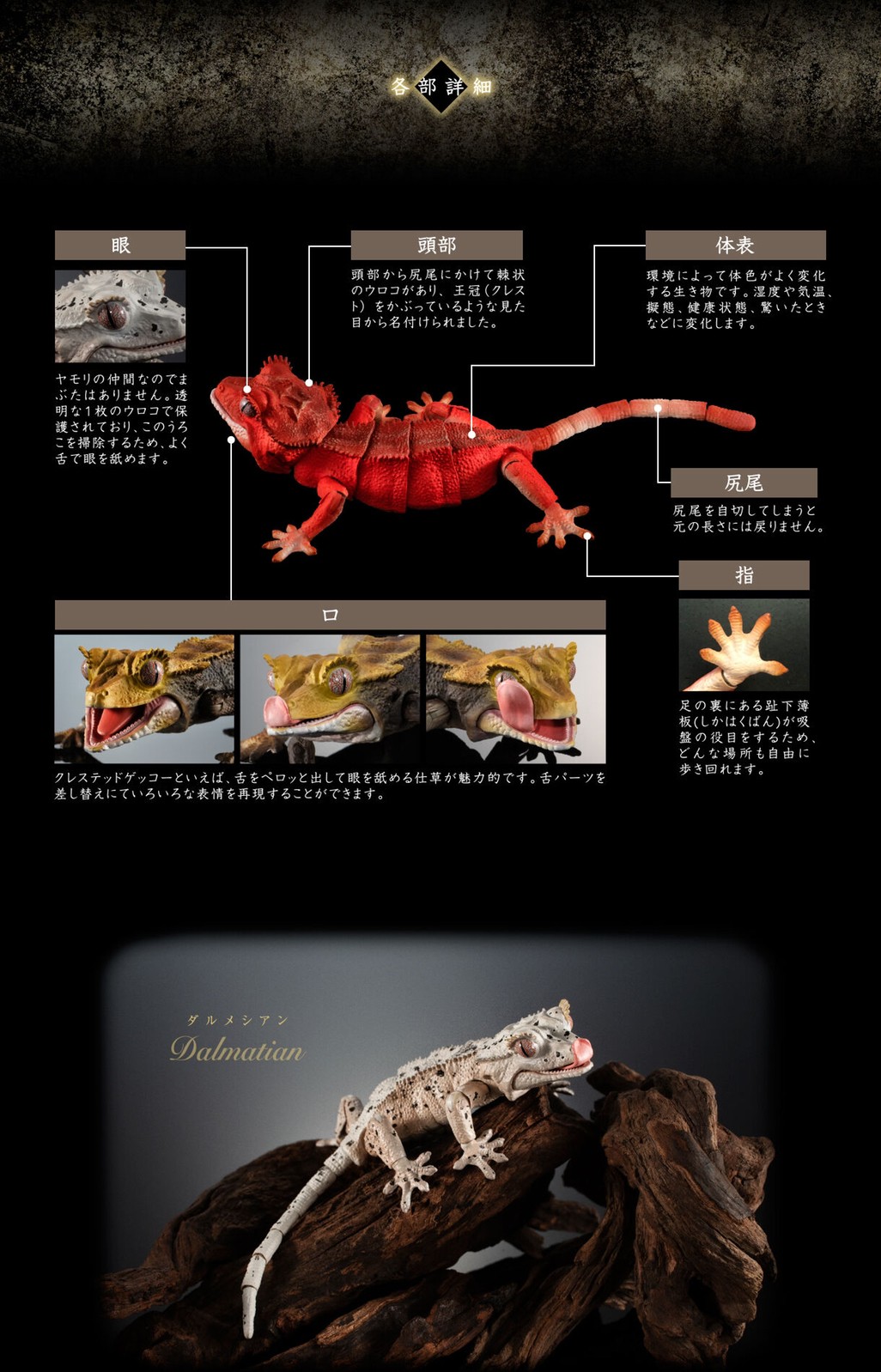 PRE-ORDER : Ikimono Encyclopedia Advance Crested Gecko (Random)