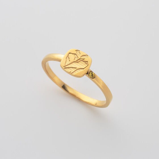 PRE-ORDER : Kamen Rider Revice Ring Set