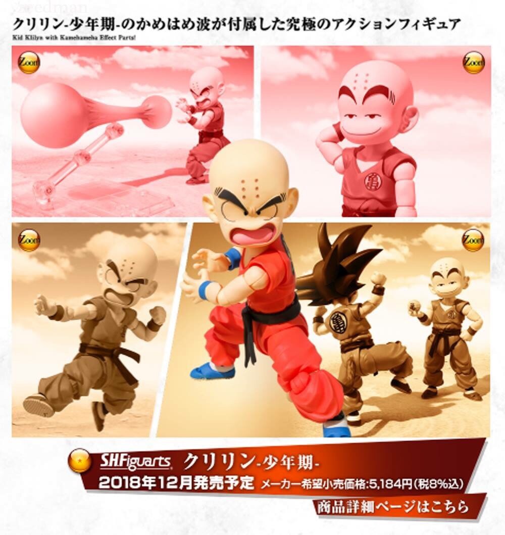 Pre-order : S.H.FIGUARTS DRAGON BALL - KRILLIN -CHILDHOOD-