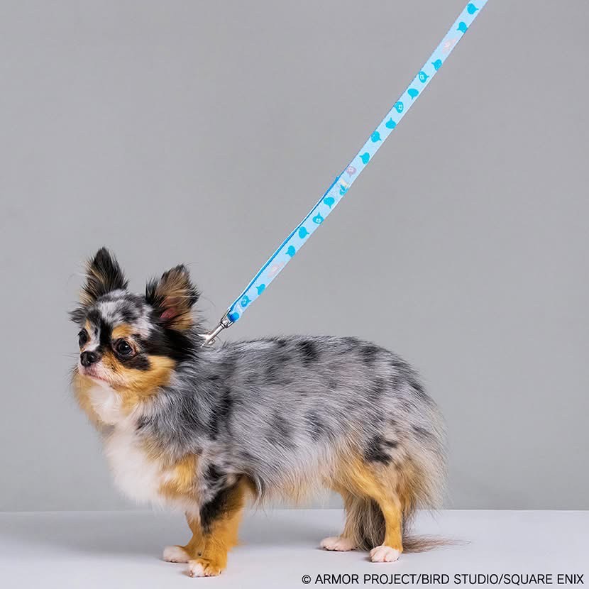 Pre-order : SQEX Pets Dragon Quest Slime Pattern Reflective Lead by Square Enix