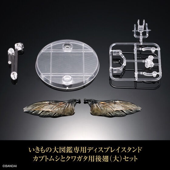 PRE-ORDER : Display Stand for Beetles and Stag Beetles Set for Exclusive Use of Ikimono Encyclopedia