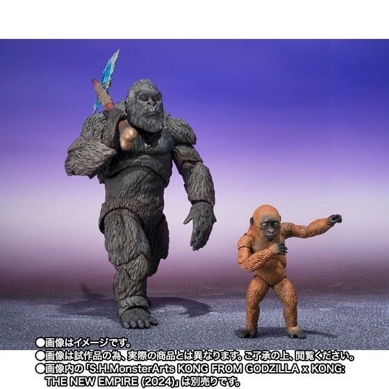 PRE-ORDER : S.H.MonsterArts SUKO & MOTHRA (2024) FROM GODZILLA x KONG: THE NEW EMPIRE