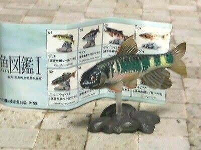 กาชาปอง Freshwater Fish Collection vol. 1 Gashapon (Set of 13) by Yujin