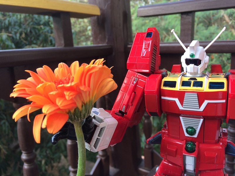 Soul Of Chogokin GX-36 Ideon by Bandai