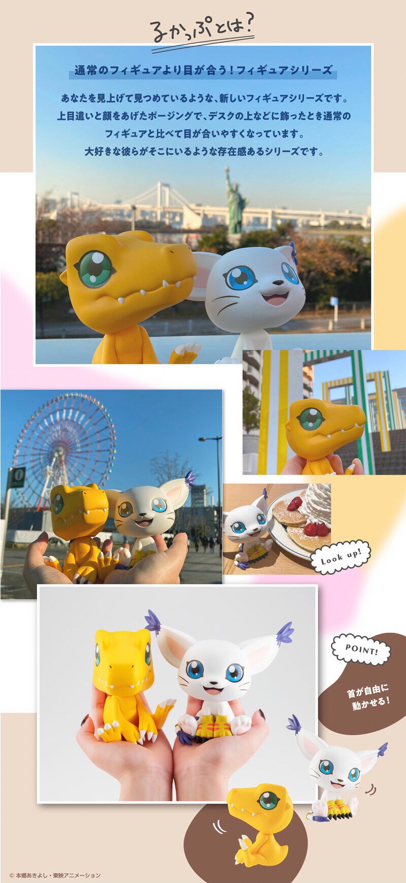 PRE-ORDER : Rukappu Digimon Adventure Agumon & Tailmon Set [Limited Benefits with Cushion]