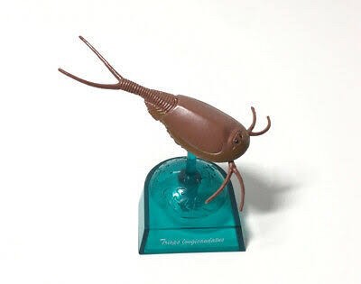 กาชาปอง Earth Life Journey Living Fossil Collection Gashapon (Set of 6) by EPOCH