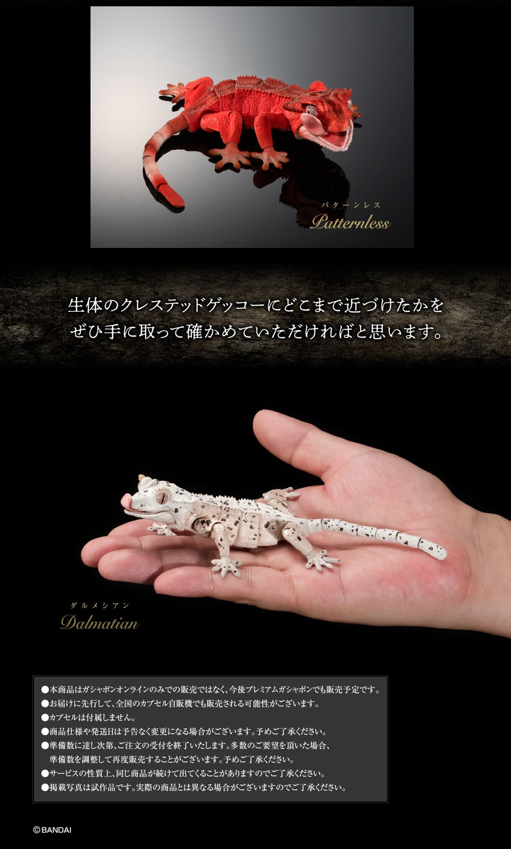 PRE-ORDER : Ikimono Encyclopedia Advance Crested Gecko (Random)