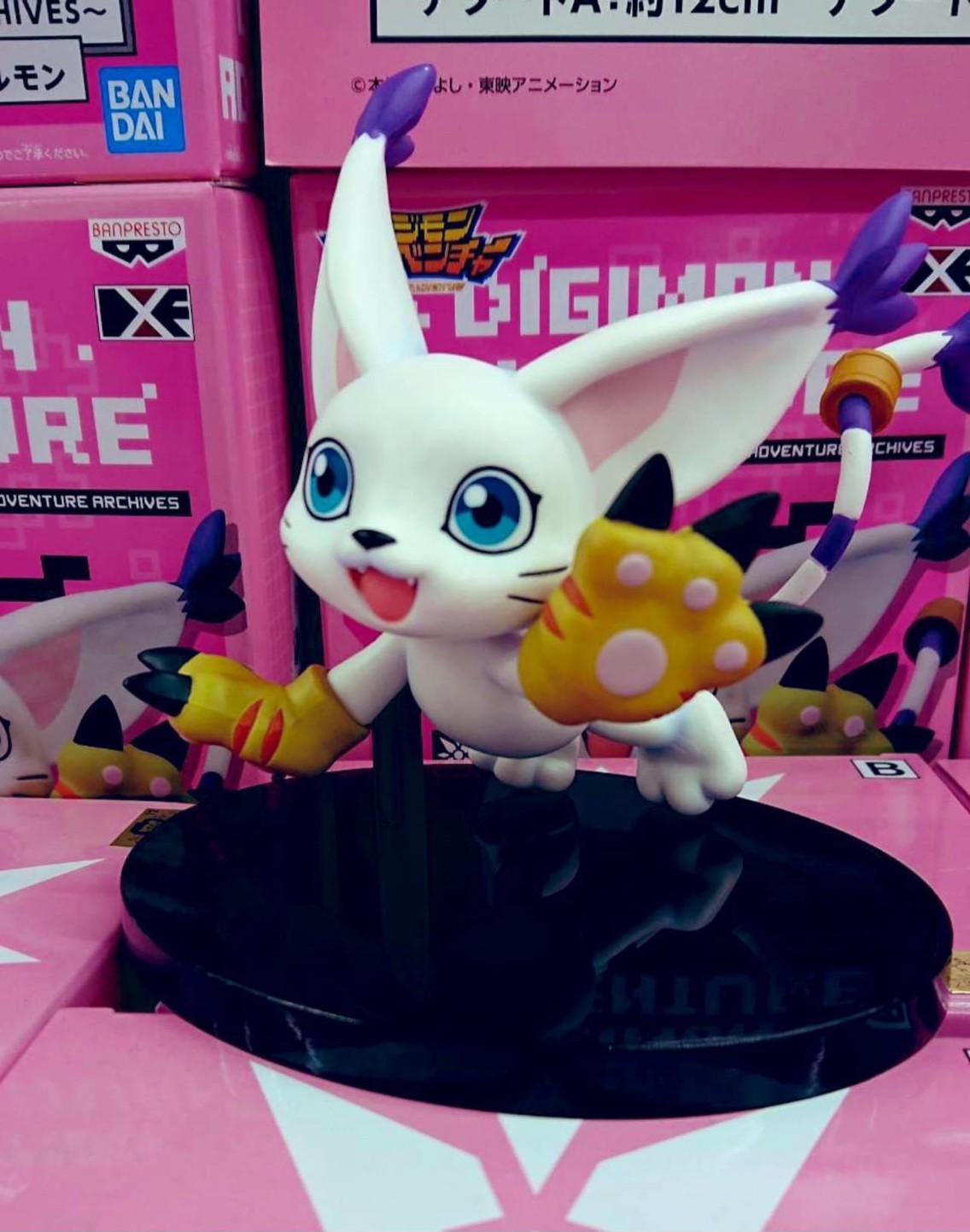 Digimon Adventure DXF ~Adventure Archives~ HIKARI & TAILMON (OVERSEA LIMITED ITEM)