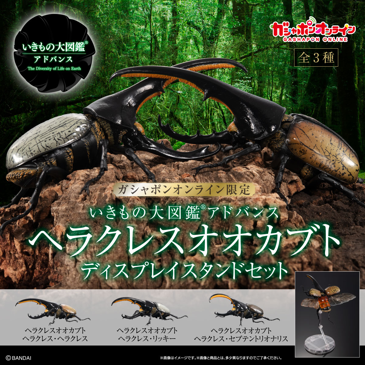$ Ikimono Encyclopedia Advance Hercules Beetle 01 (PB)