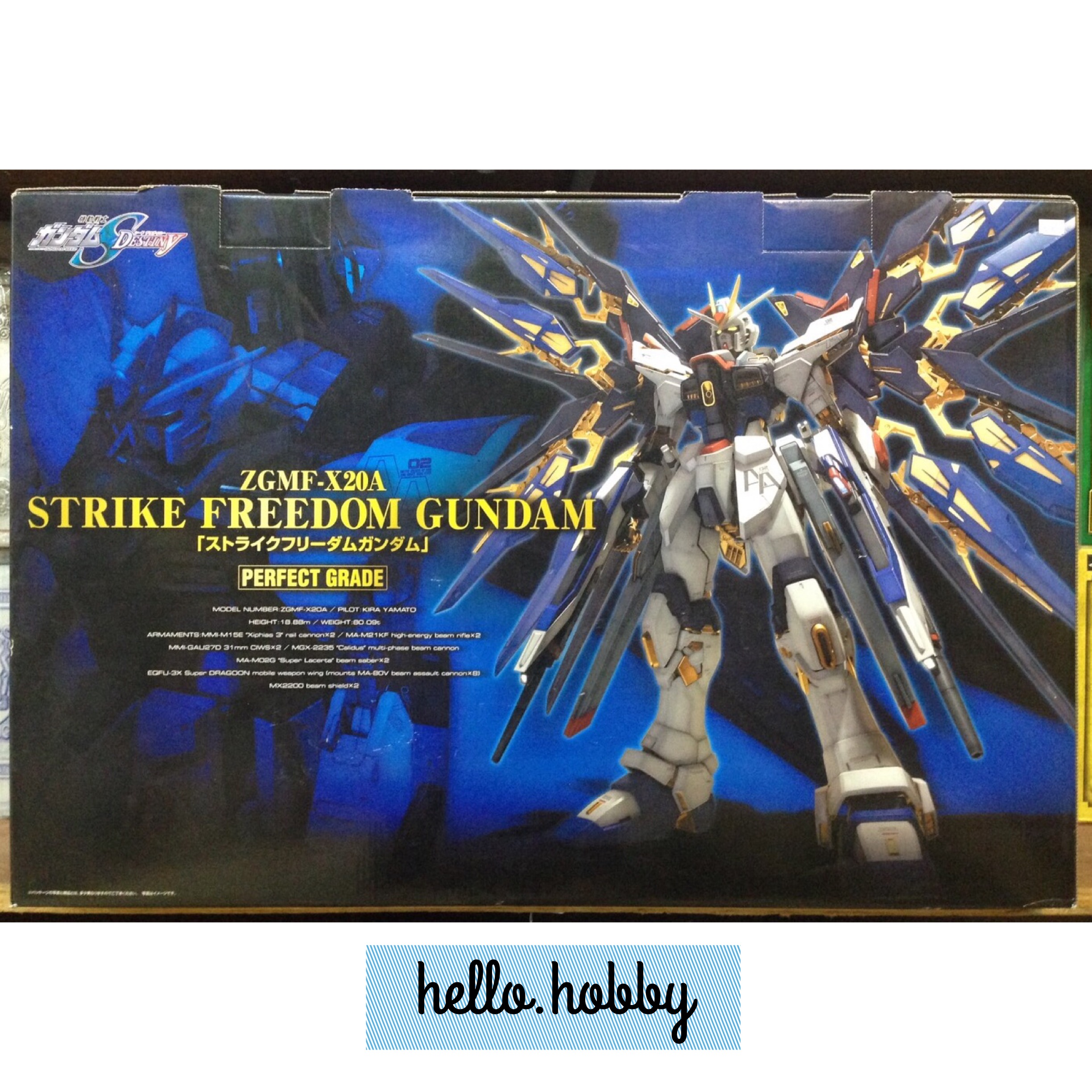 PG 1/60 ZGMF-X20A Strike Freedom Gundam by Bandai