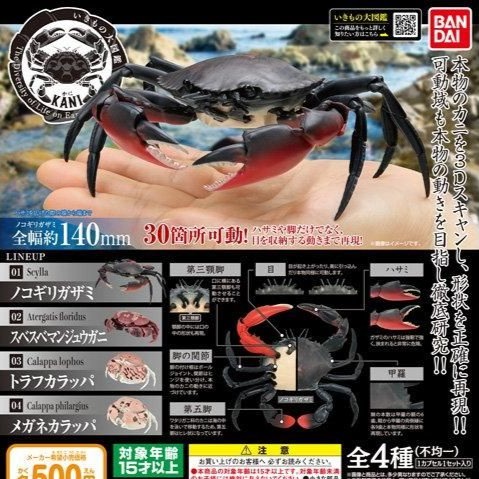$ Ikimono Encyclopedia Crab 01
