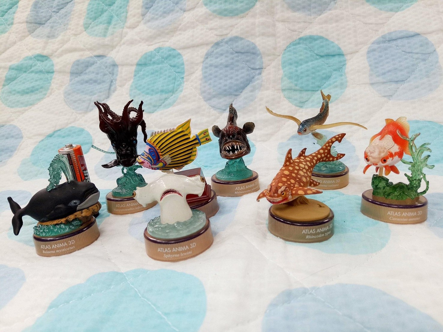 งานฝา สัตว์น้ำ New Enoshima Aquarium World Museum ATLAS ANIMA 3D Bottle Cap Collection (Set of 8) by Kaiyodo