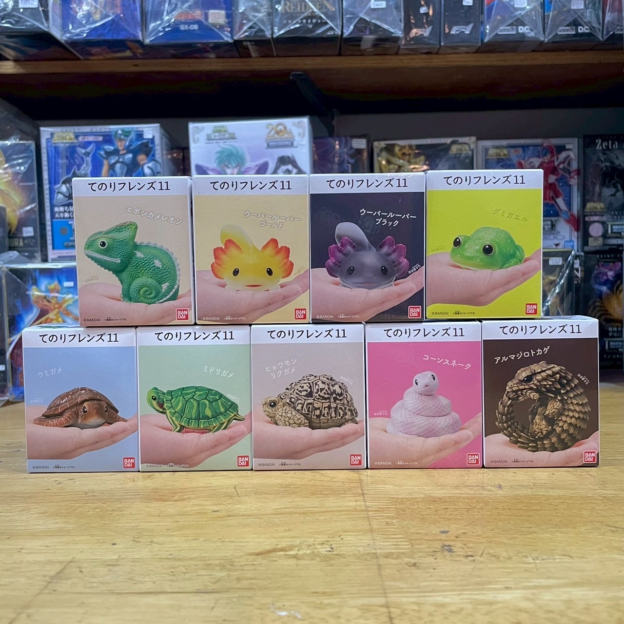 โมเดล สัตว์น่ารัก Tenori Friends 11 Reptiles & Amphibians by Bandai
