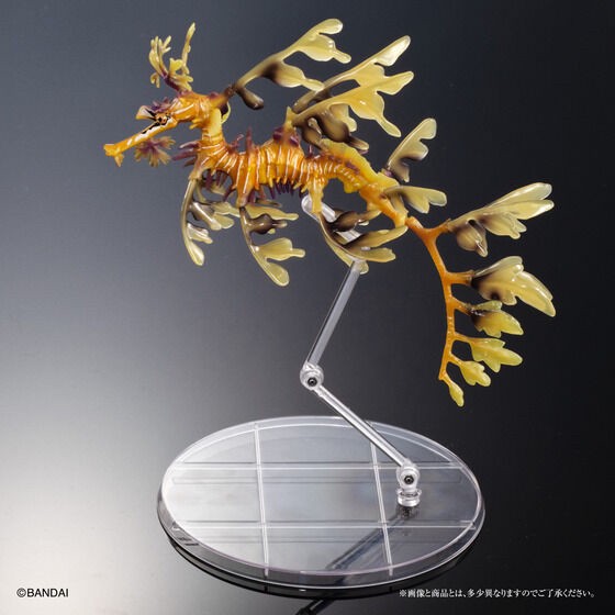 PRE-ORDER : Ikimono Encyclopedia Premium Leafy seadragon