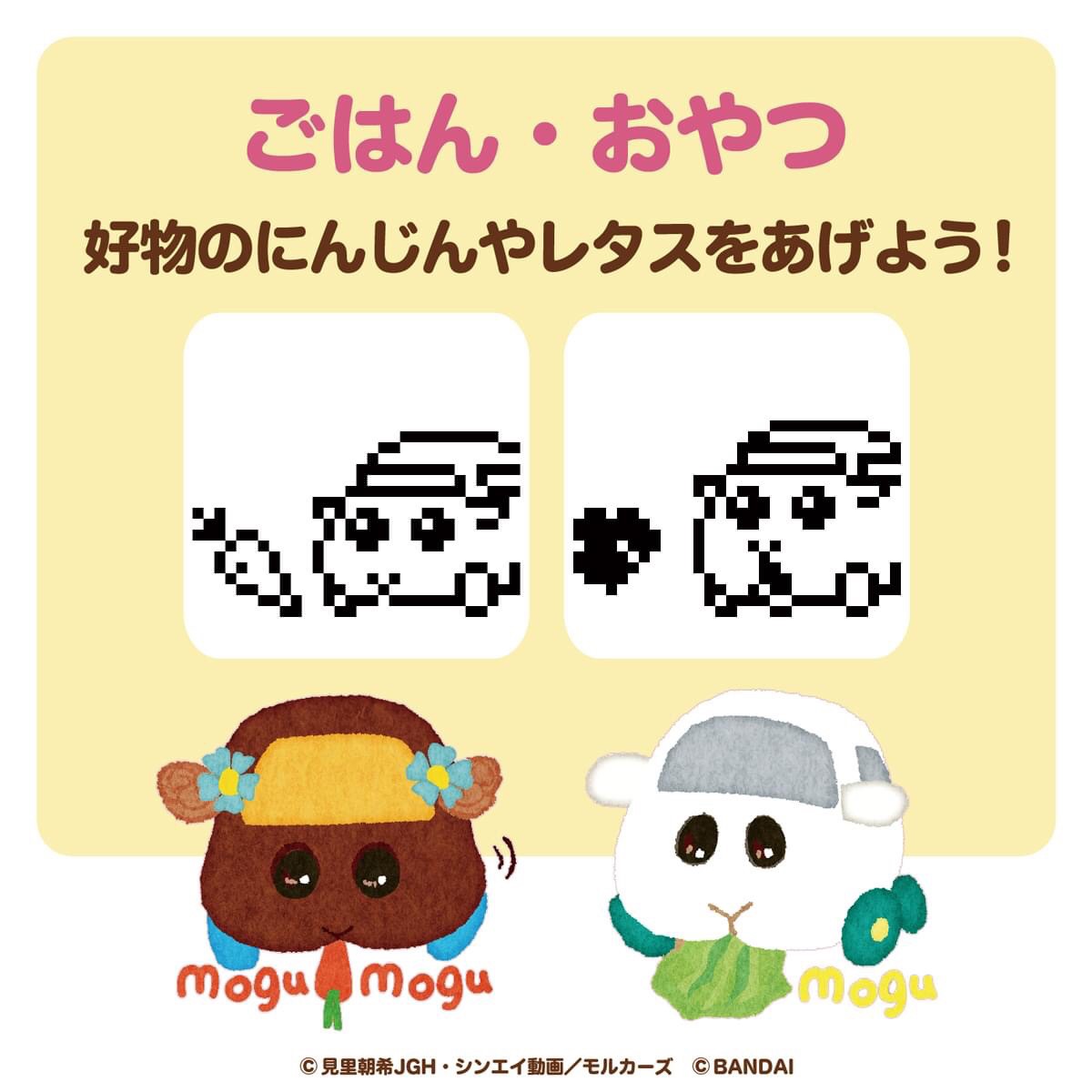 Pre-order : PUI PUI MOLCATCHI ORANGE COLOR / CREAM COLOR