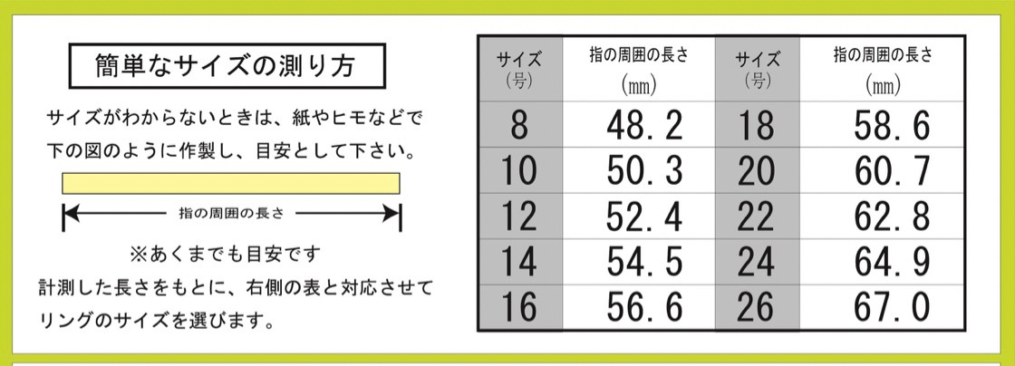 PRE-ORDER : Kamen Rider Drive Silver925 Ring