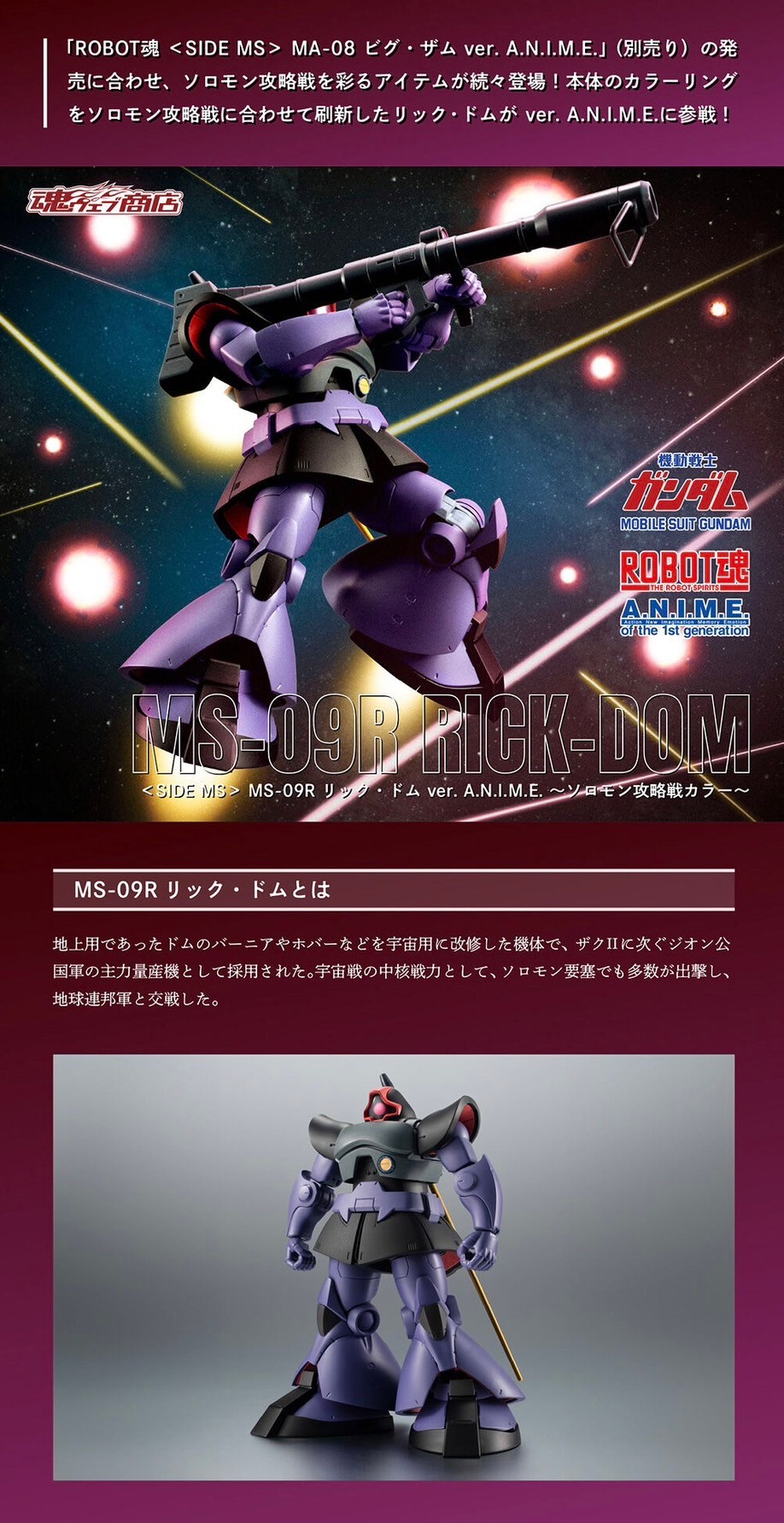 PRE-ORDER : Robot Spirit <SIDE MS> MS-09R RICK DOM ver. A.N.I.M.E. ~THE GLORY OF SOLOMON COLOR~