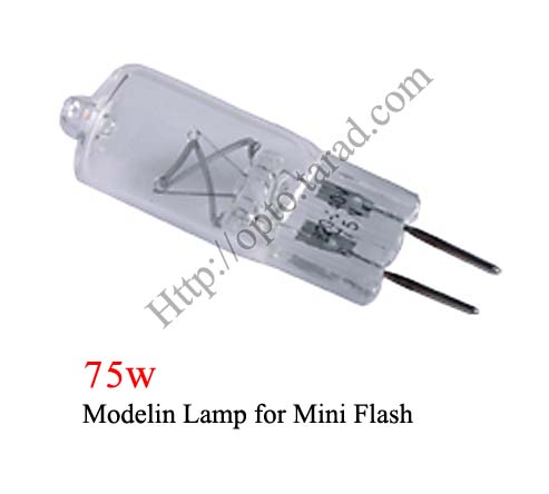 75W Modeling Lamp for Studio Flash