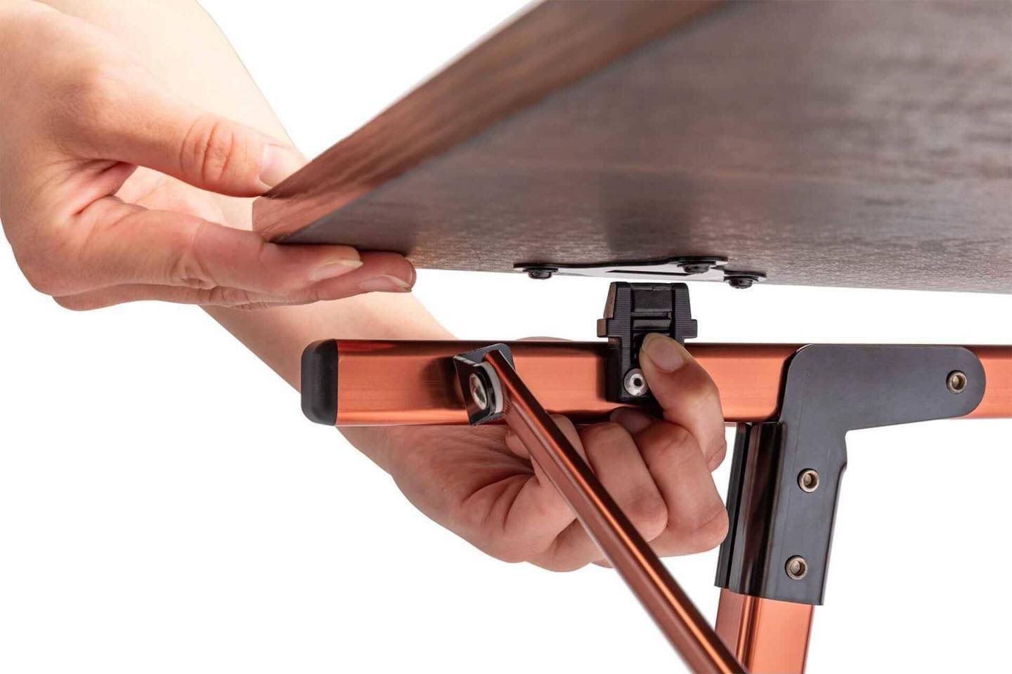 โต๊ะ Coleman JP Master Series Butterfly Multi Table