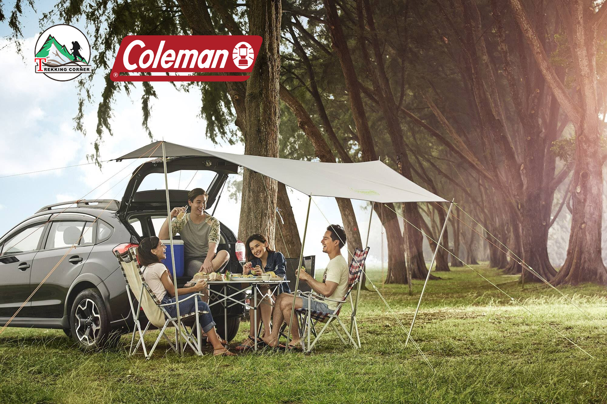 Coleman Pole Shade Large 12*14