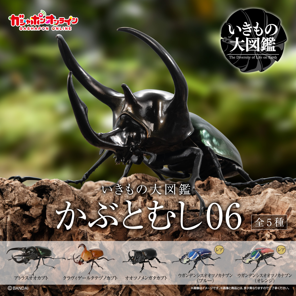 $ Ikimono Encyclopedia Beetle 06