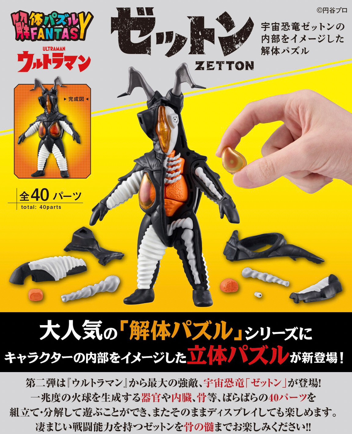 PRE-ORDER : Kaitai Puzzle Fantasy Zetton [Limited bonus with transparent skin parts]