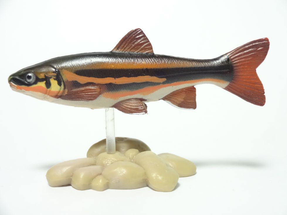 กาชาปอง Freshwater Fish Collection vol. 1 Gashapon (Set of 13) by Yujin