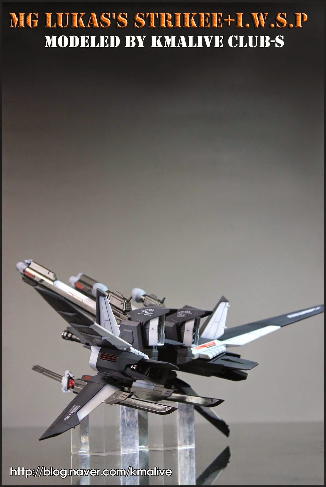 MG 1/100 GAT-X105E Strike E+I.W.S.P Lukas O'Donnell Custom by Bandai