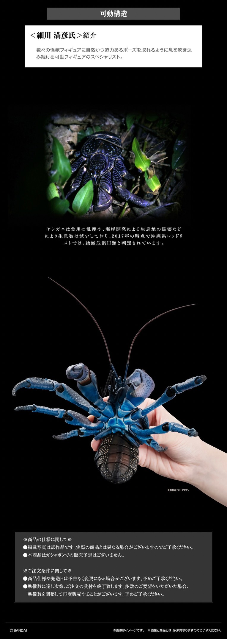 PRE-ORDER : Ikimono Encyclopedia Premium Coconut Crab