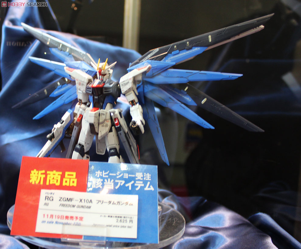 RG 1/144 Freedom Gundam by Bandai