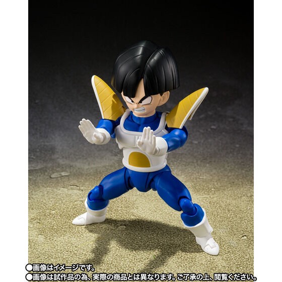 PRE-ORDER : S.H.Figuarts Son Gohan -Battle Clothes- (Dragon Ball Z)