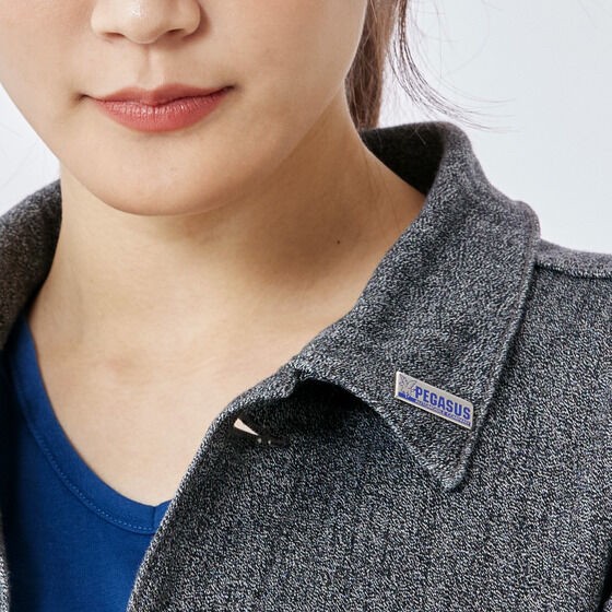 PRE-ORDER : Gekisou Sentai Carranger Pegasus Pin Badge