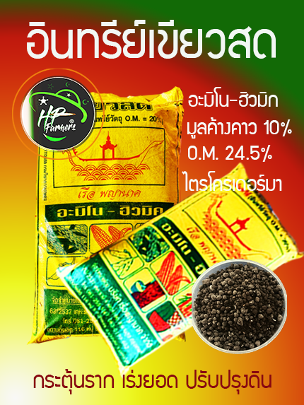 อินทรีย์เขียวสด(50กก) ปุ่ยอินทรีย์มูลค้างคาว10% อะมิโน-ฮิวมิก และไตรโคเดอมาร์ ใช้สำหรับ ฟื้นฟูต้นบำรุงดิน กระตุ้นราก แตกยอดใหม่ ควบคุมโรคราก-โคนเน่า