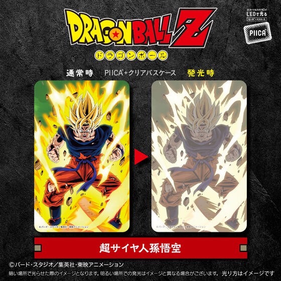 PRE-ORDER : DRAGON BALL Z PIICA+ Clear Pass Case (10 types)