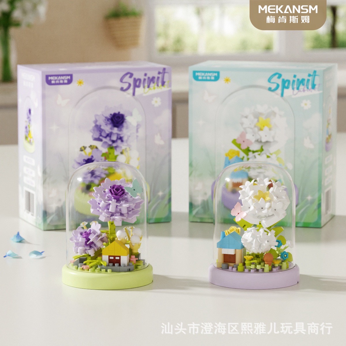 Mekansm - Spirit Cabinet Flower in the picture frame