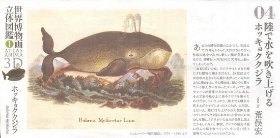 งานฝา สัตว์น้ำ New Enoshima Aquarium World Museum ATLAS ANIMA 3D Bottle Cap Collection (Set of 8) by Kaiyodo