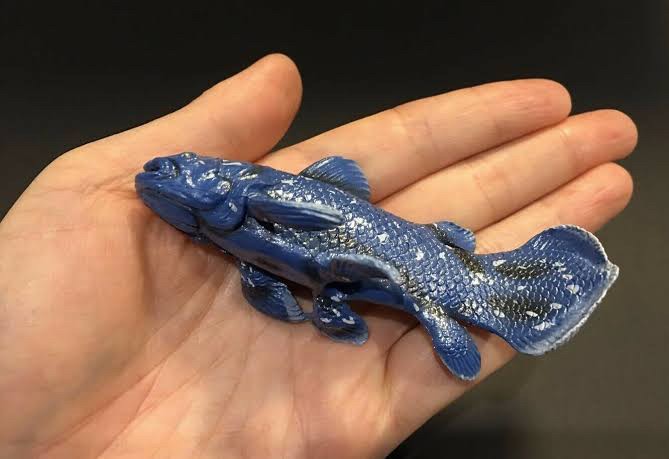 กาชาปอง Earth Life Journey Living Fossil Collection Gashapon (Set of 6) by EPOCH