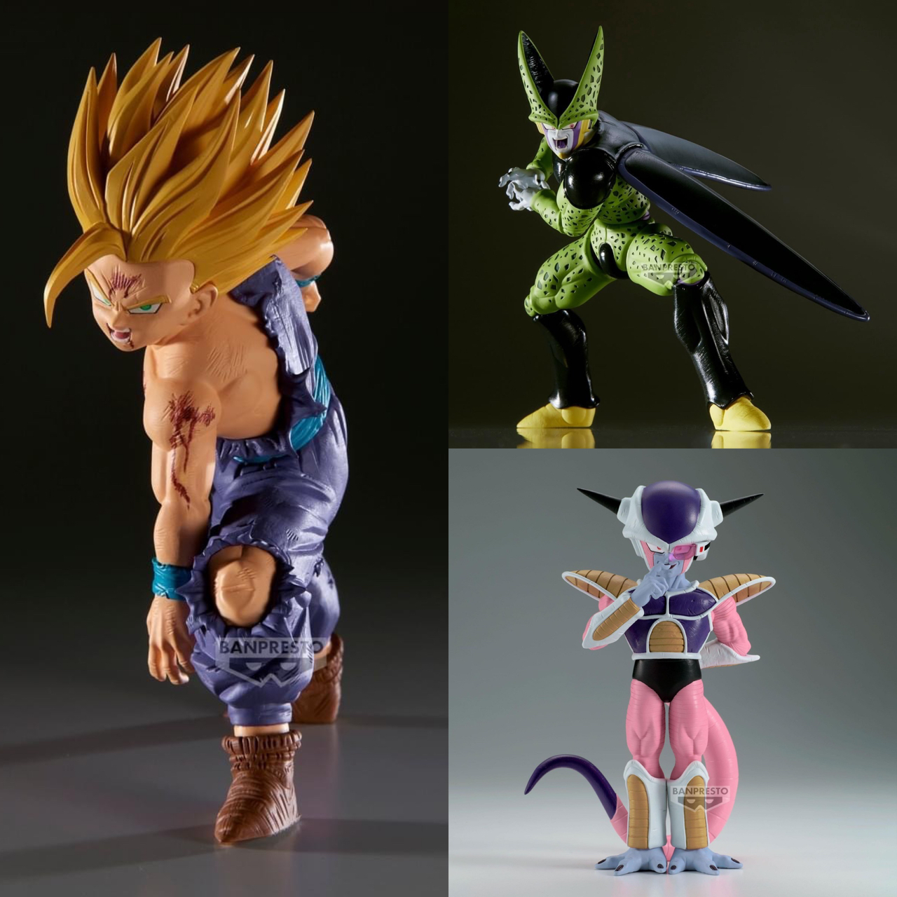 Pre-order : DRAGON BALL Z