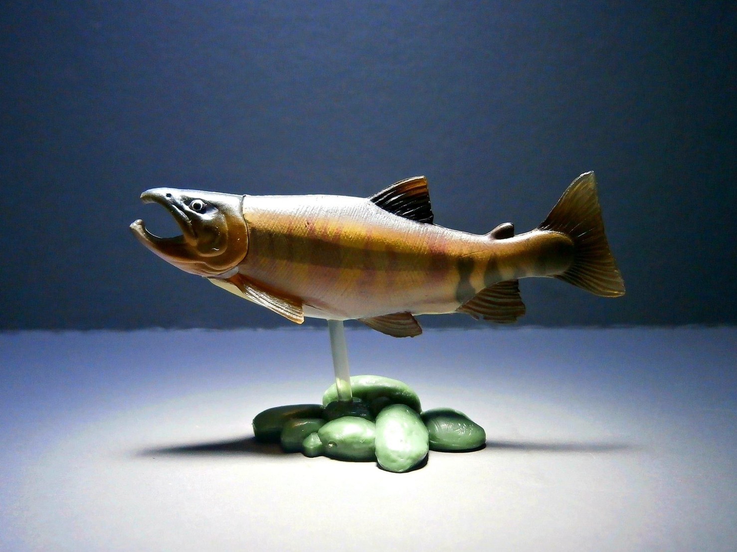 กาชาปอง Freshwater Fish Collection vol. 1 Gashapon (Set of 13) by Yujin