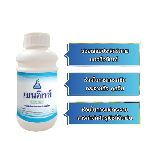 สารจับใบเข้มข้น เบนดิกซ์(Bendict) ใช้เป็นทั้งสารจับใบและสารเพิ่มประสิทธิภาพในการ แทรกซึม และการแพร่กระจายปุ๋ยทางใบและสารป้องกันกำจัดศัตรูพืช ให้เข้าสู่เซลพืชในปริมาณที่มากขึ้น รวดเร็วขึ้น ง่ายขึ้น