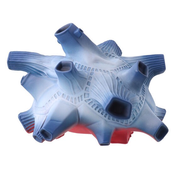 PRE-ORDER : Ultra Large Monster Series 5000 Bullton