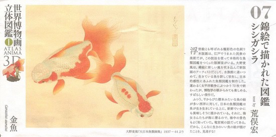 งานฝา สัตว์น้ำ New Enoshima Aquarium World Museum ATLAS ANIMA 3D Bottle Cap Collection (Set of 8) by Kaiyodo