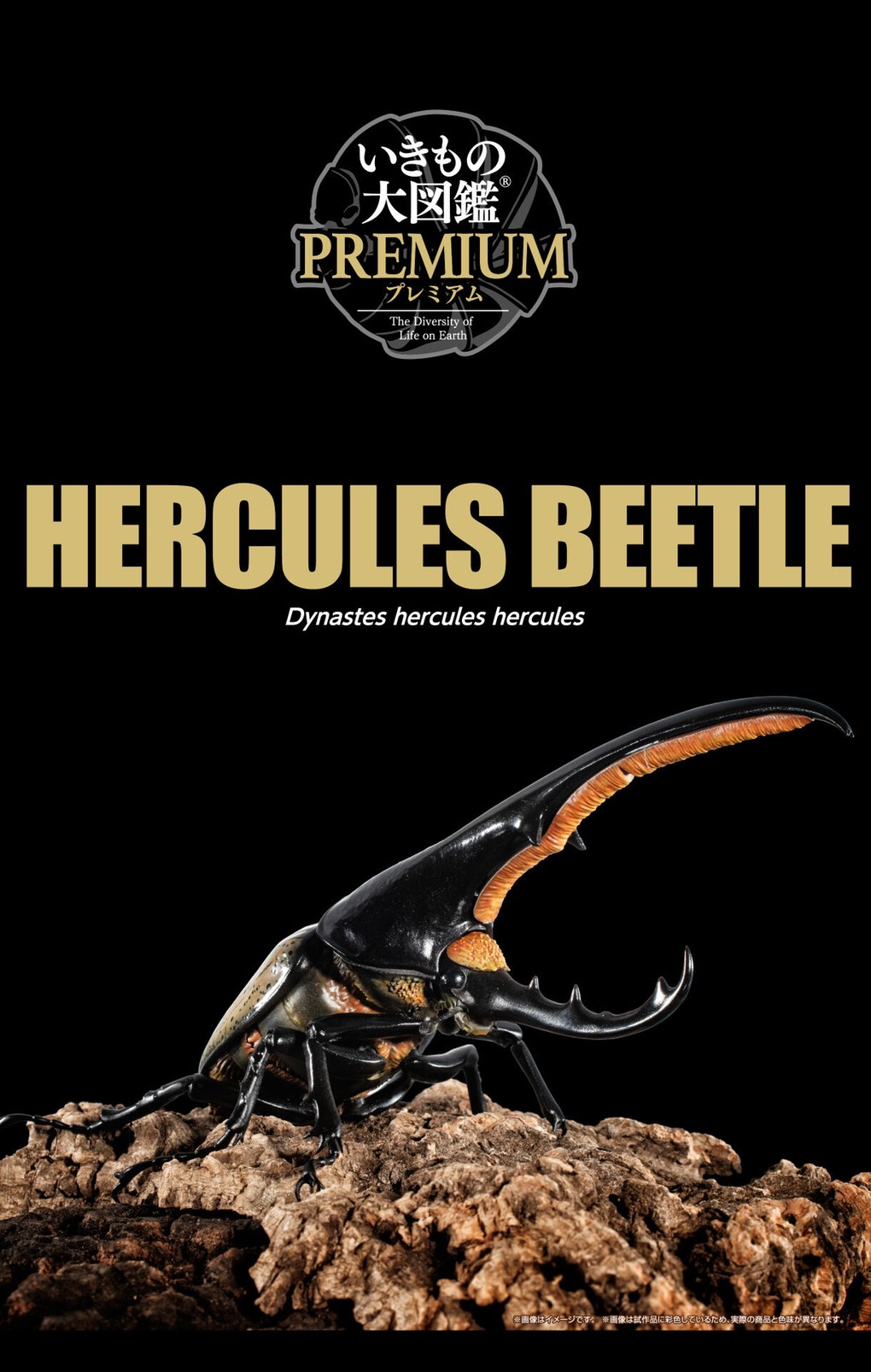 PRE-ORDER : Ikimono Encyclopedia Premium Hercules Beetle (Dynastes hercules)