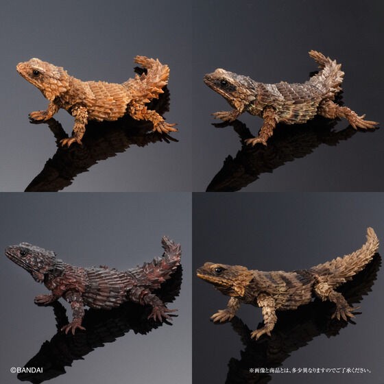 PRE-ORDER : Ikimono Encyclopedia Advance Armadillo Lizards (Random)