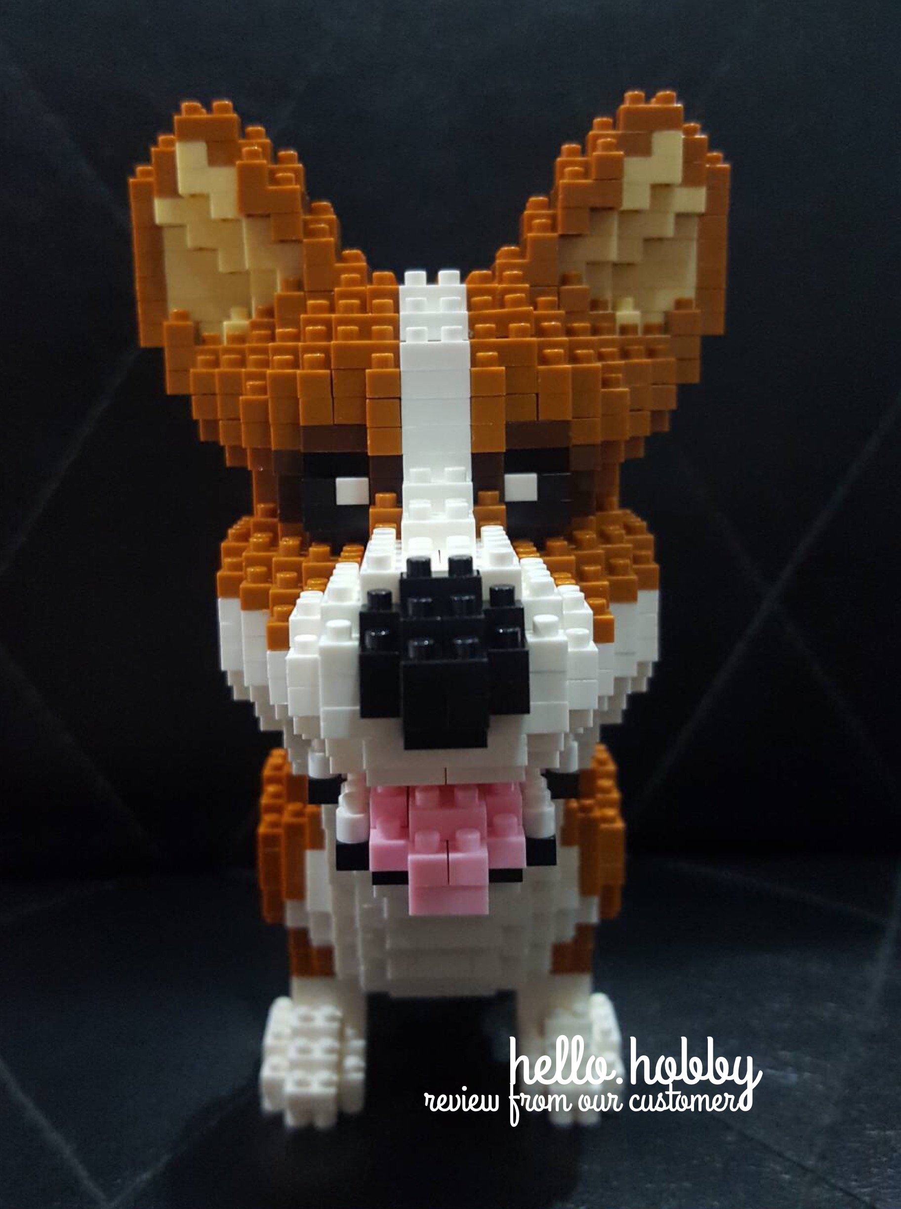 Balody 16043 Corgi 1380pcs