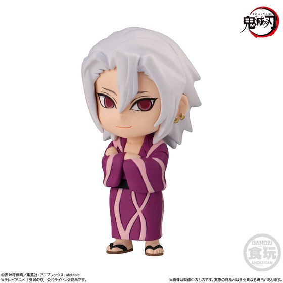 PRE-ORDER : Demon Slayer: Kimetsu no Yaiba ADVERGE MOTION 5 Set