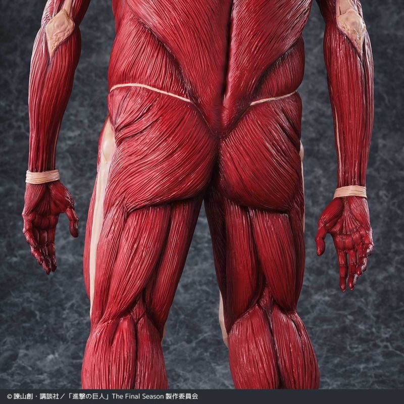 Pre-order : Mega Sofvi Attack on Titan Colossal Titan by Kaiyodo