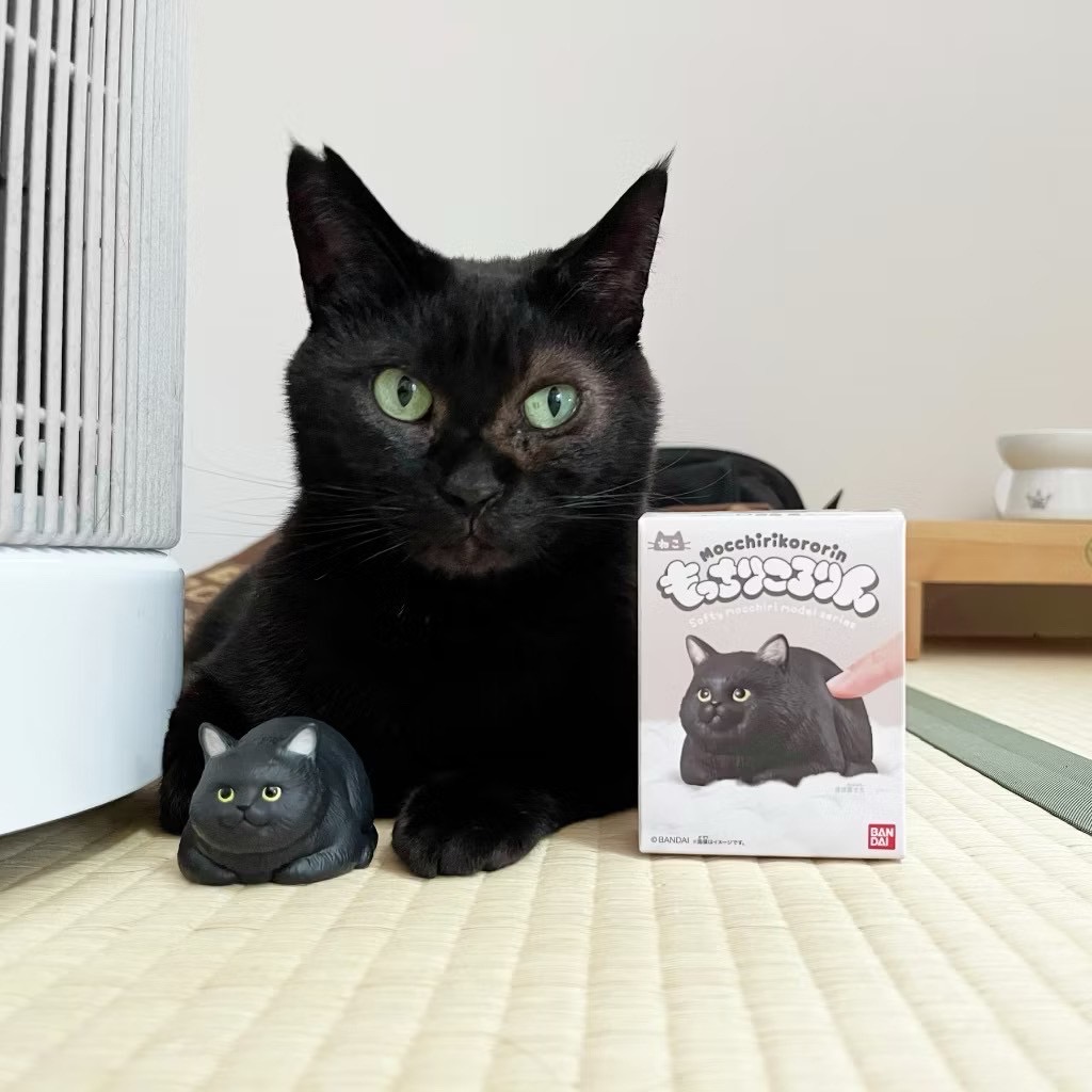 โมเดลแมวพุงนิ่มลิขสิทธิ์แท้ Mocchiri Kororin Cat by Bandai