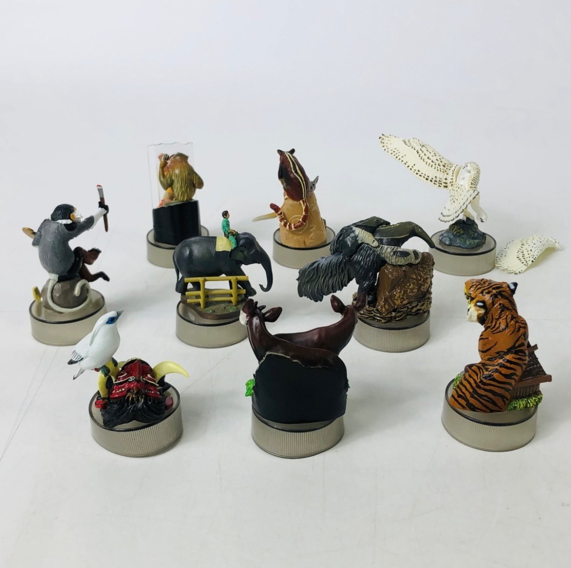 งานฝา กาชาปอง Yokohama Zoo Zoorasia Lunch Jungle Cracker Bottle Cap Trading Figure Collection by Kaiyodo (Set of 9)